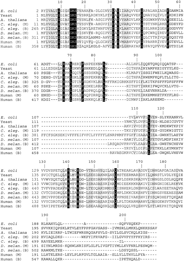 Figure 6.