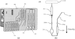 Fig. 23