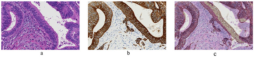 Figure 4: