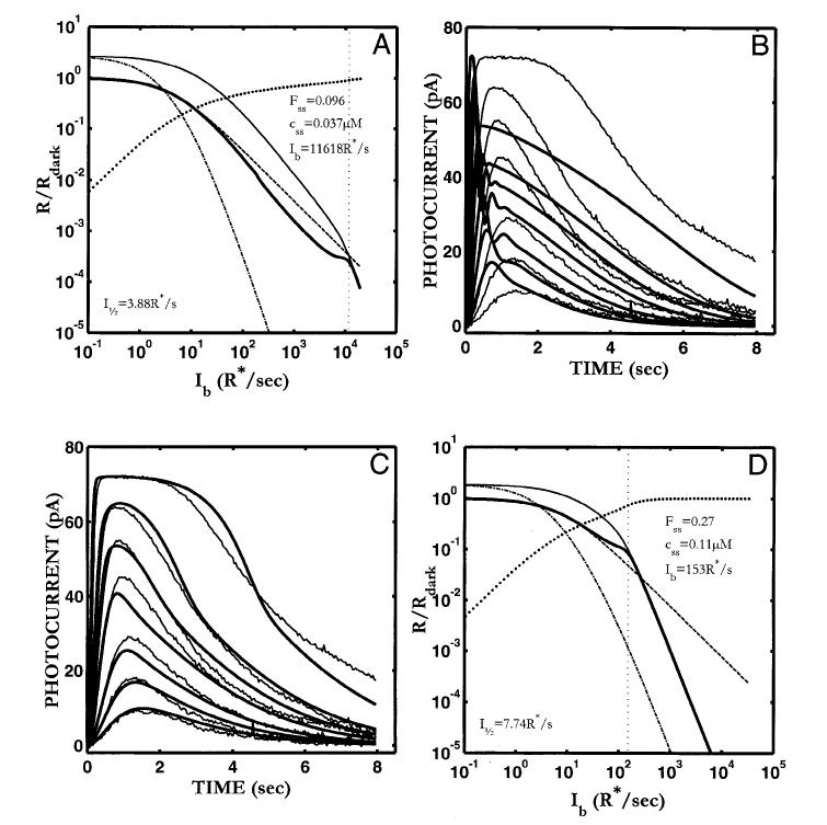 Fig. 5.