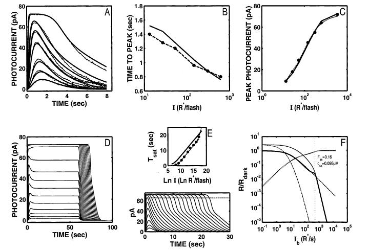 Fig. 8.