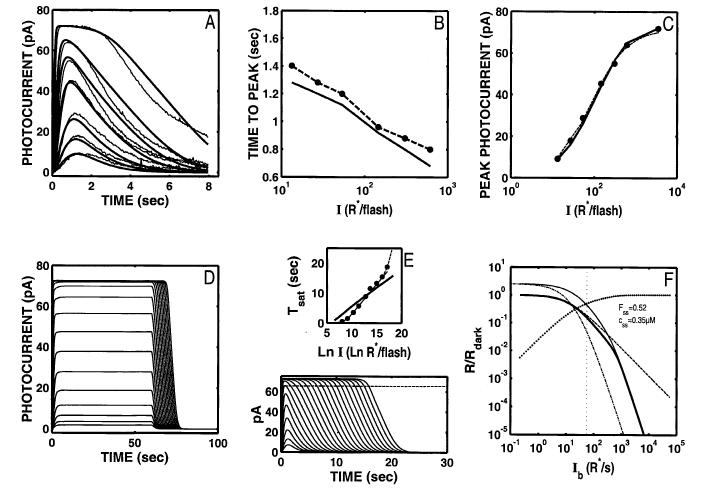 Fig. 10.