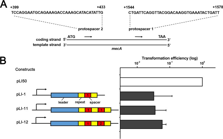 FIG 2 