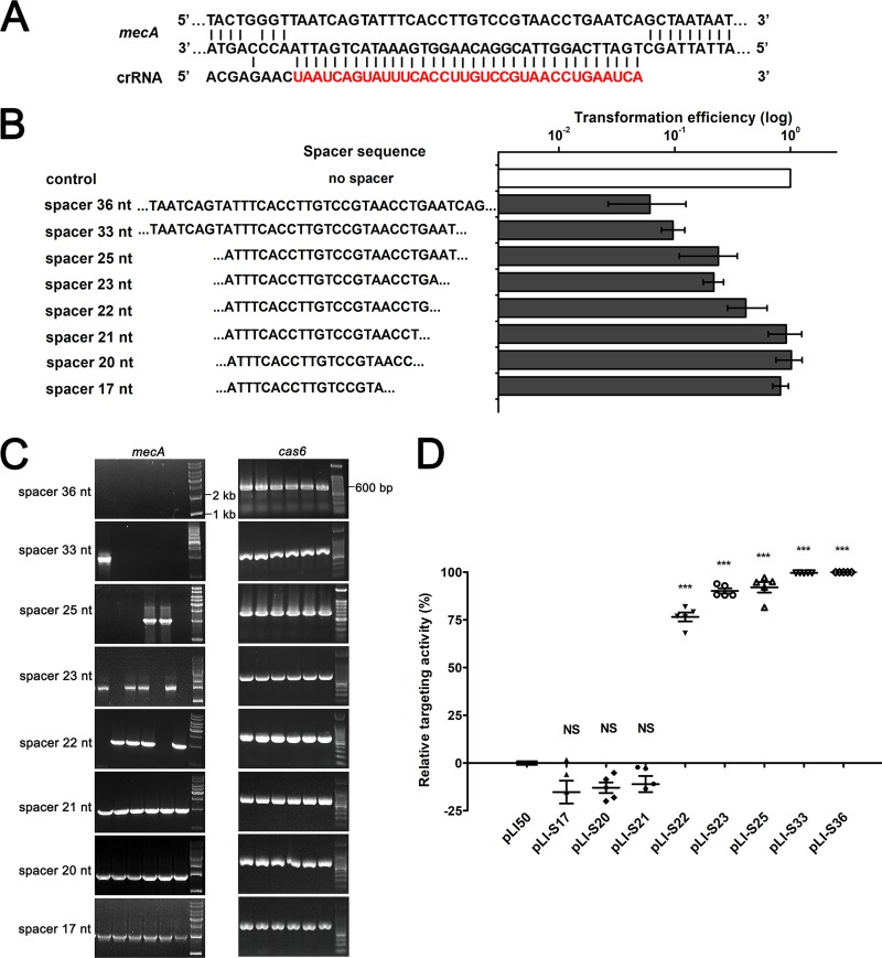 FIG 6 