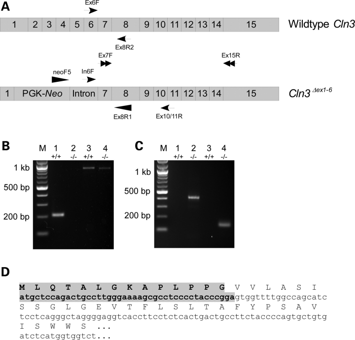 Figure 2.