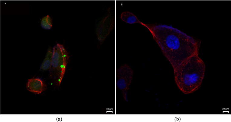 Fig. 10