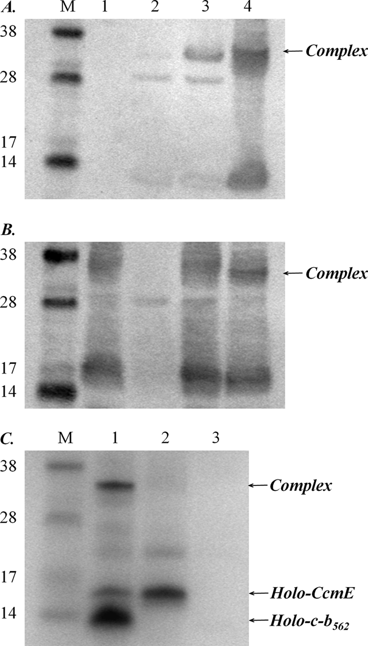 FIGURE 3.