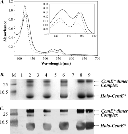 FIGURE 7.