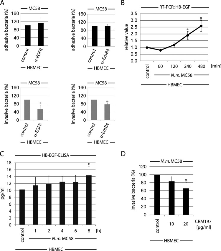 FIG 6