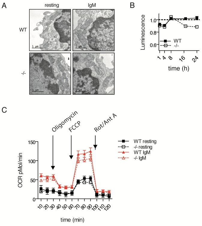 Figure 4—figure supplement 2.