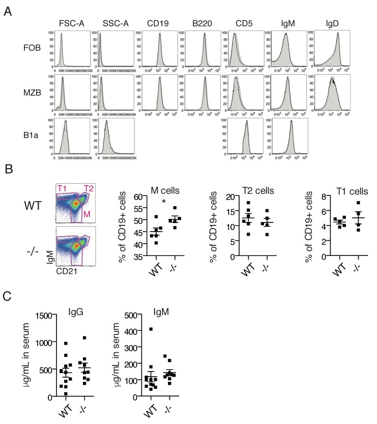 Figure 2—figure supplement 1.