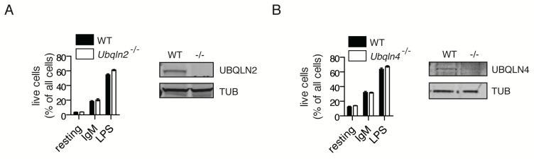 Figure 3—figure supplement 1.