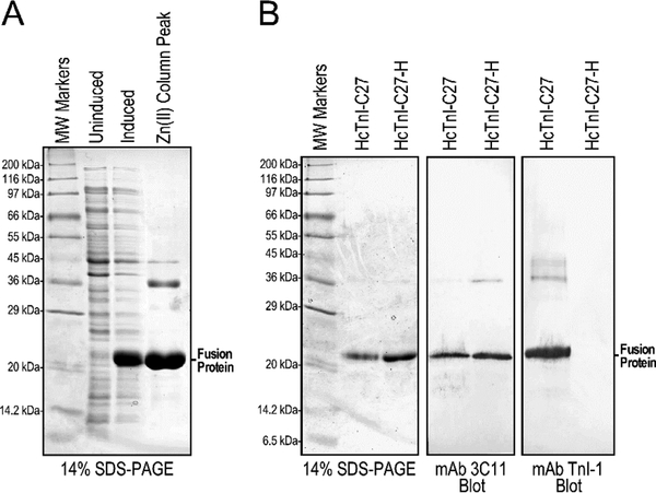 Figure 3: