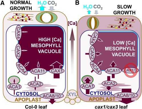 Figure 6.