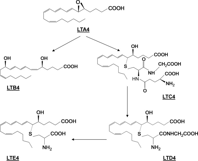 FIGURE 1.