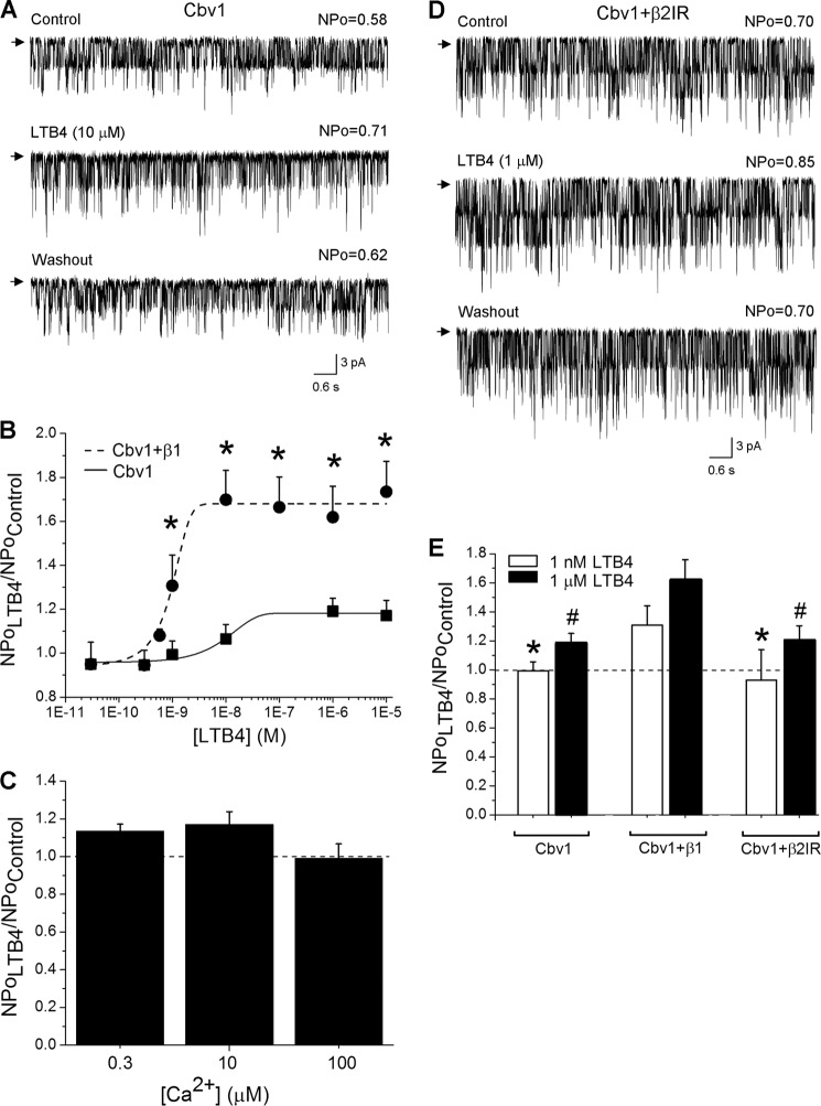 FIGURE 4.