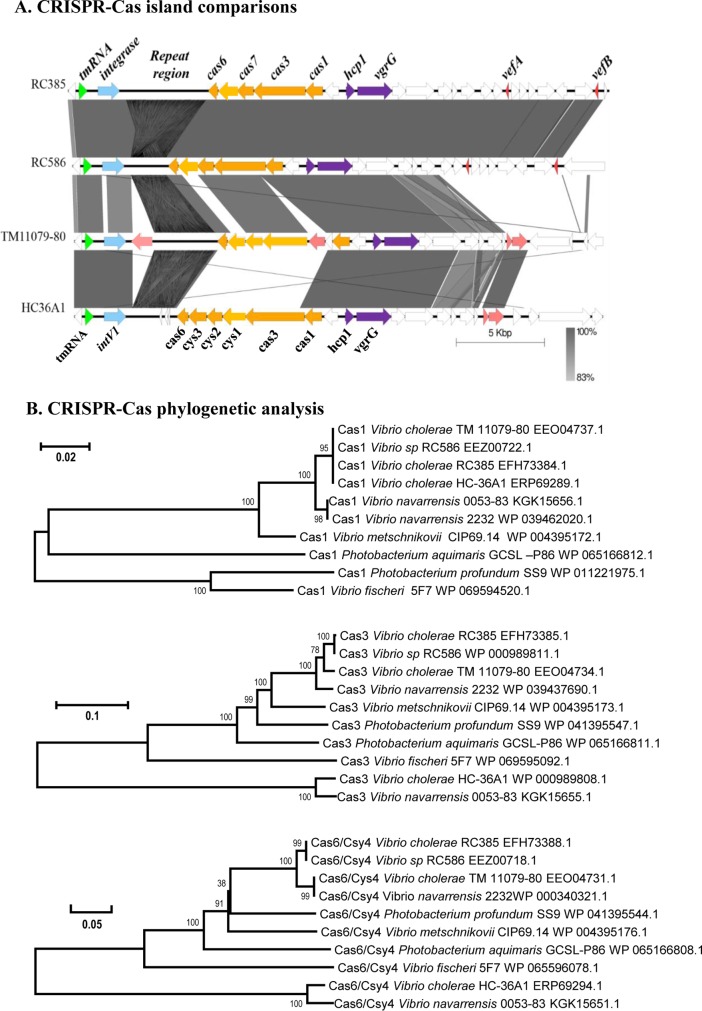 FIG 3