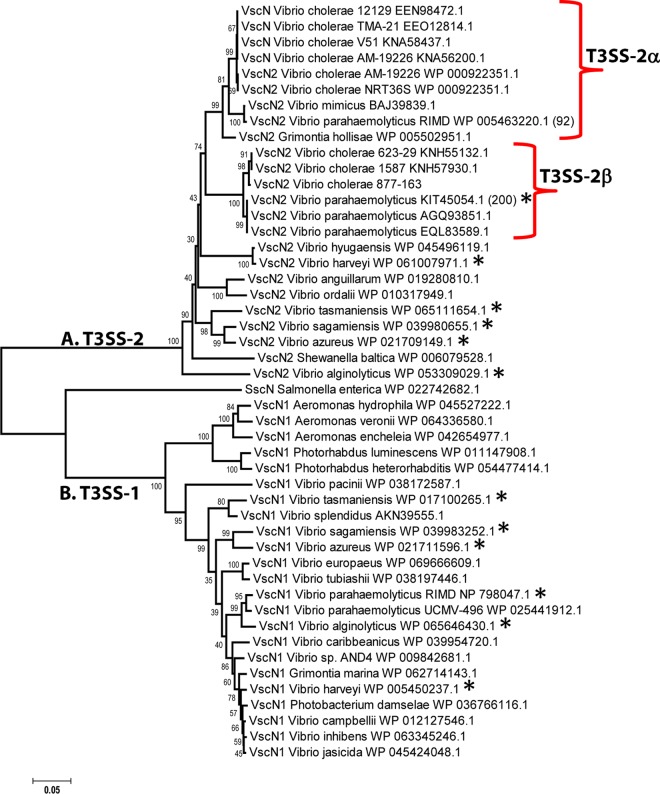 FIG 6