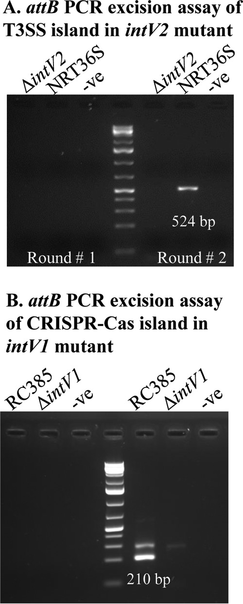 FIG 8