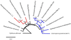 Fig. 5