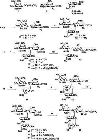 Scheme 1