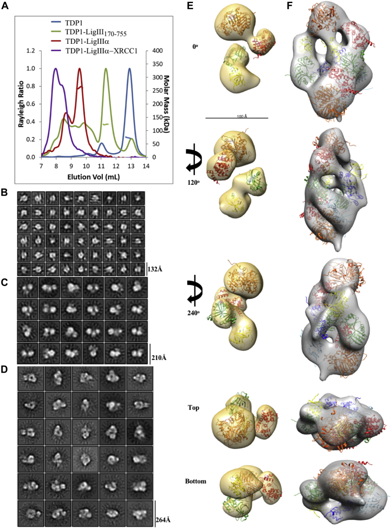 Figure 5