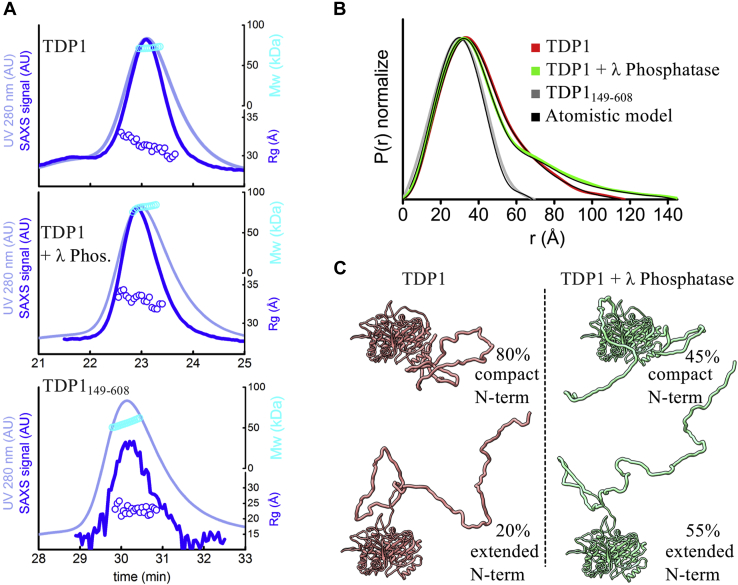 Figure 4