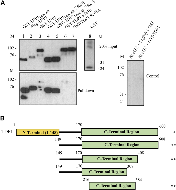 Figure 3