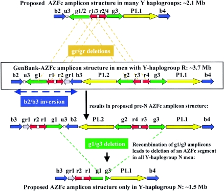 Figure  4