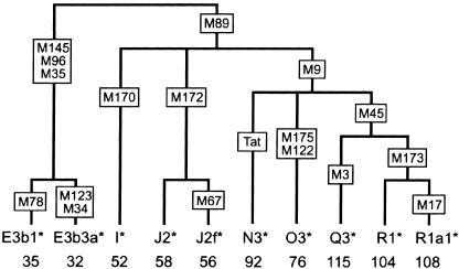 Figure  3