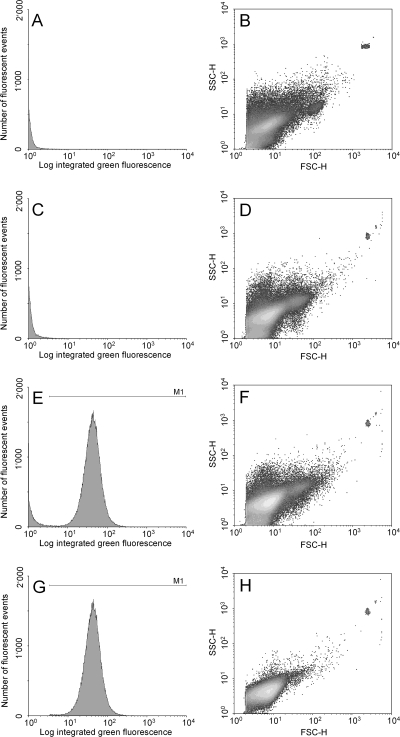 FIG. 1.