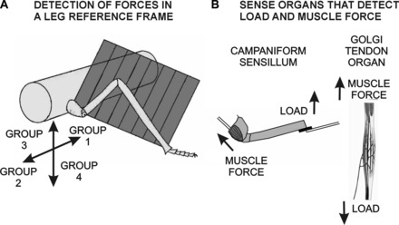 Fig. 9.