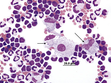 Fig. 15.40