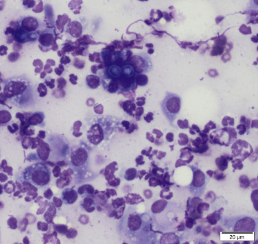 Fig. 15.26