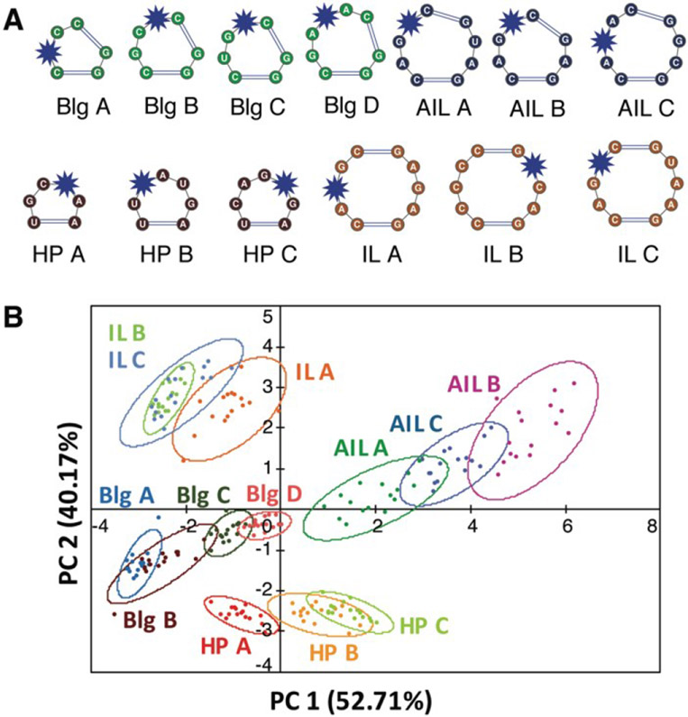 Figure 6.