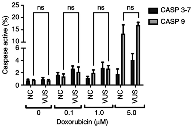 Figure 10.