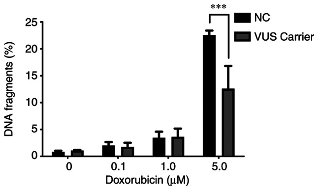 Figure 11.