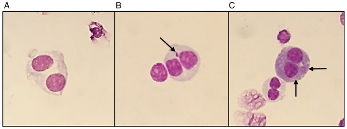 Figure 6.