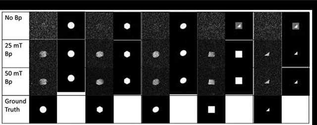 graphic file with name nihms-1997083-f0002.jpg