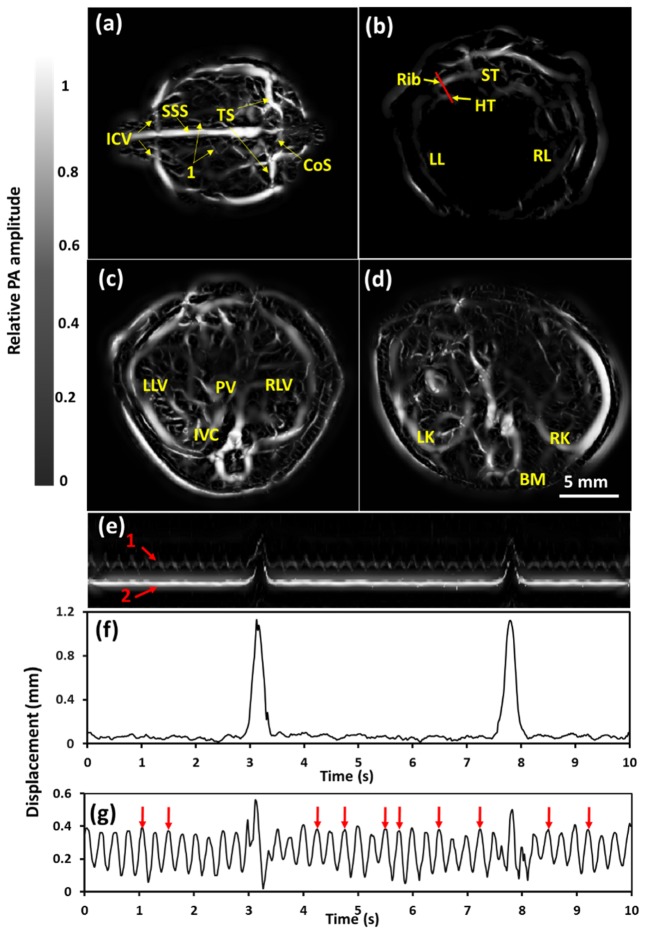 Fig. 3