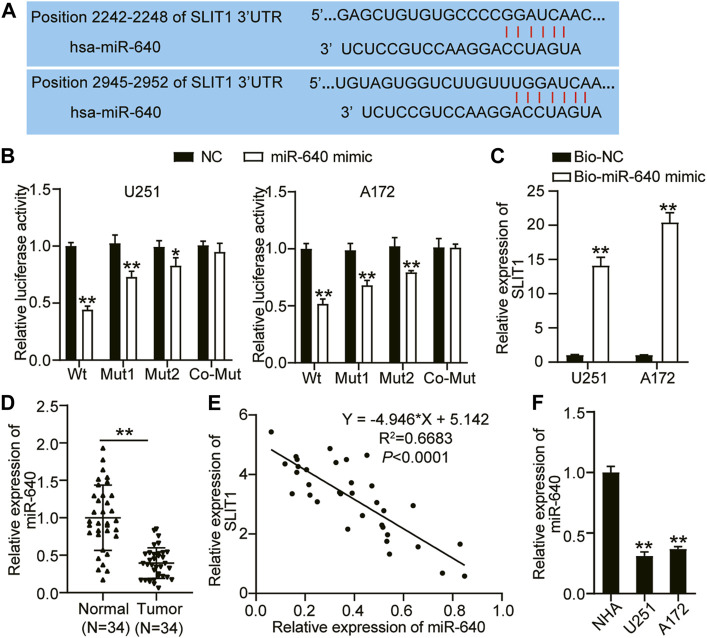 FIGURE 3