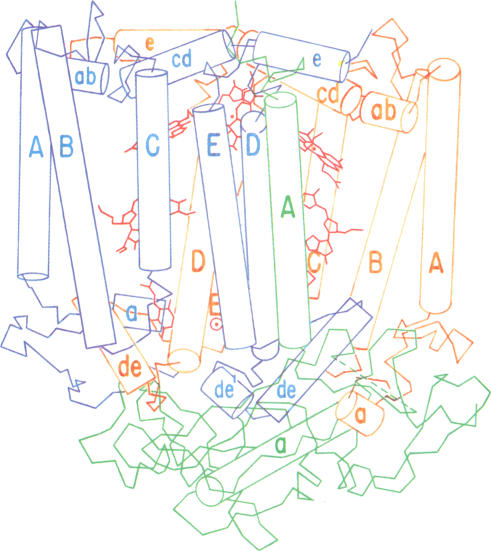 graphic file with name pnas00332-0161-a.jpg