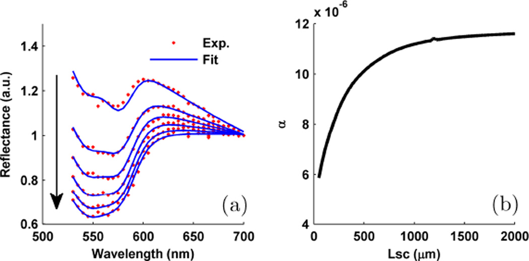 Fig. 13