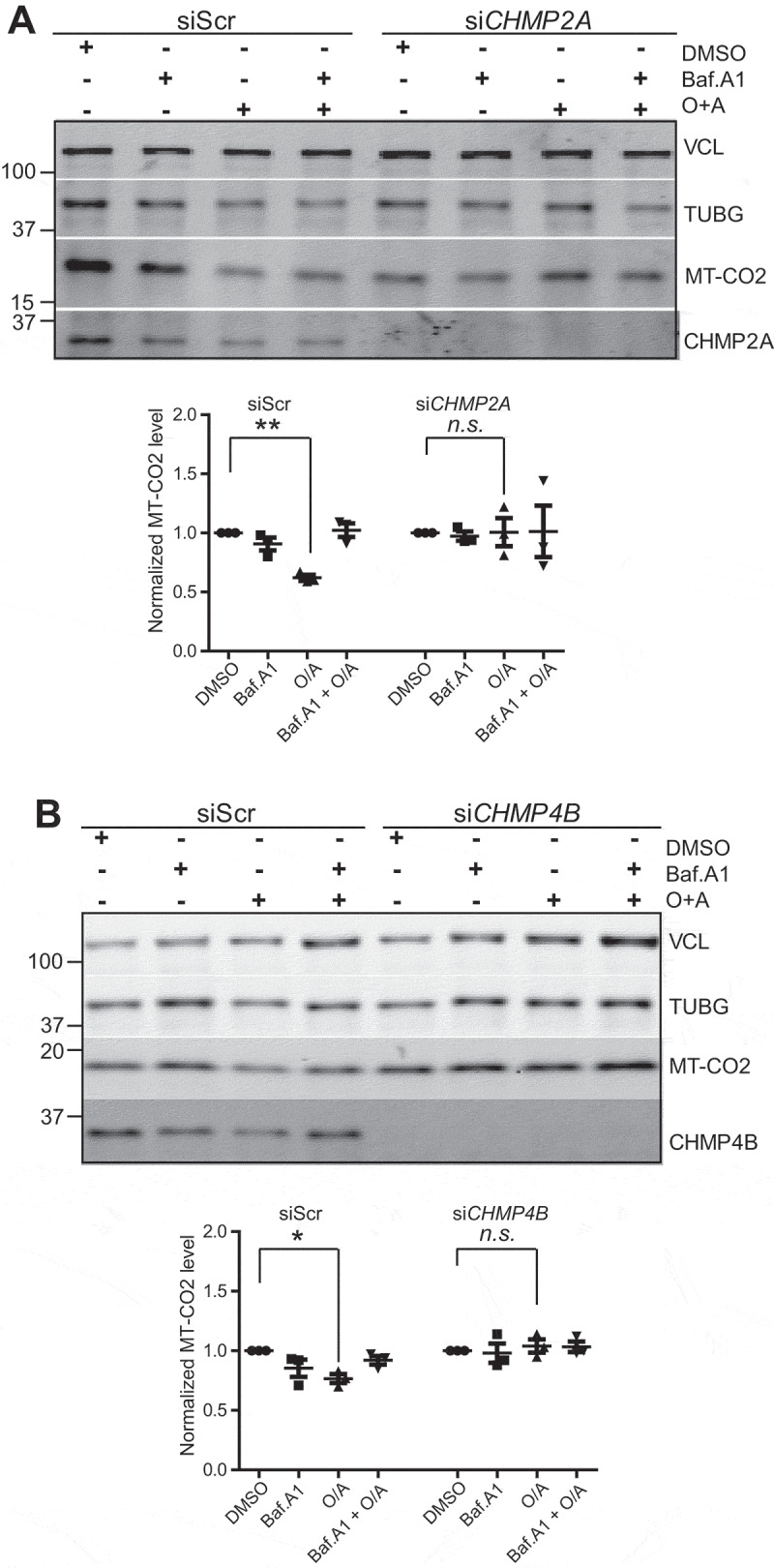 Figure 10.