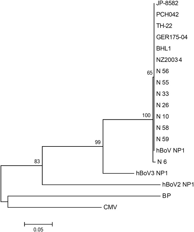 Fig. 2