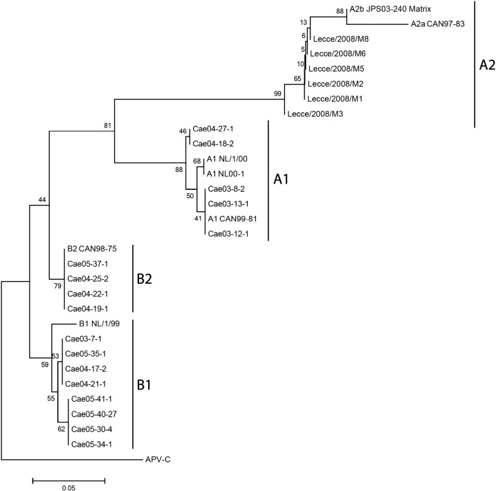 Fig. 3