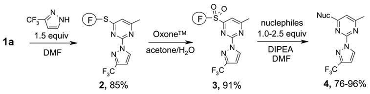 Scheme 2