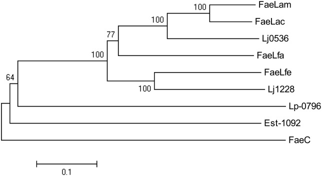 FIGURE 3