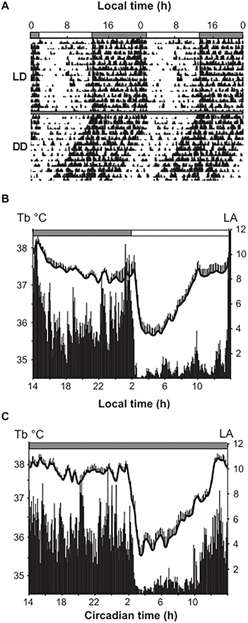 FIGURE 2