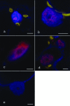 FIG. 6.